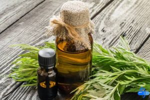 خواص روغن خراطین